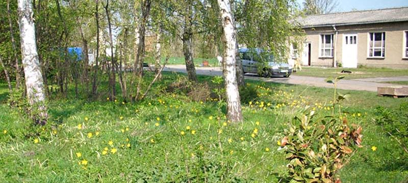 39398_luedia_garten004
