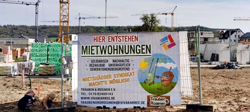 74523_Trauben-und-Rosinen_Bild_2